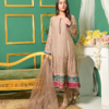 Beige A Line Formal Suit with Pink and Teal Border - Image 4